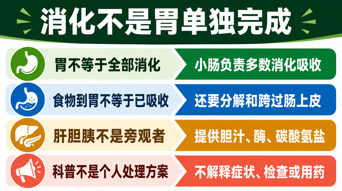 消化误读清单