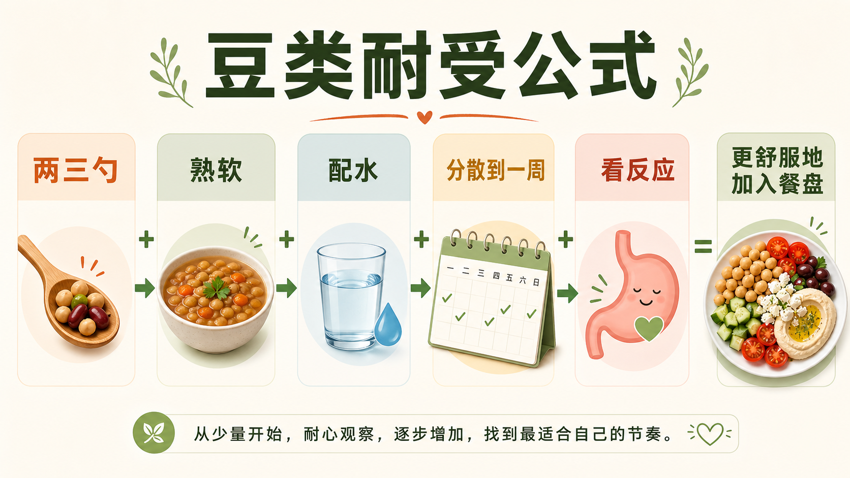 豆类循序渐进公式图