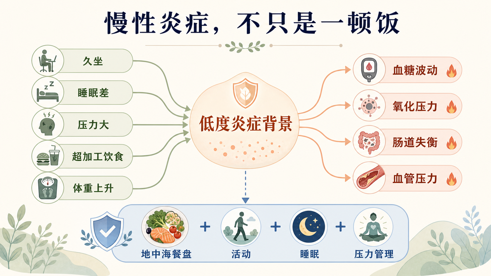 慢性炎症生活方式机制图