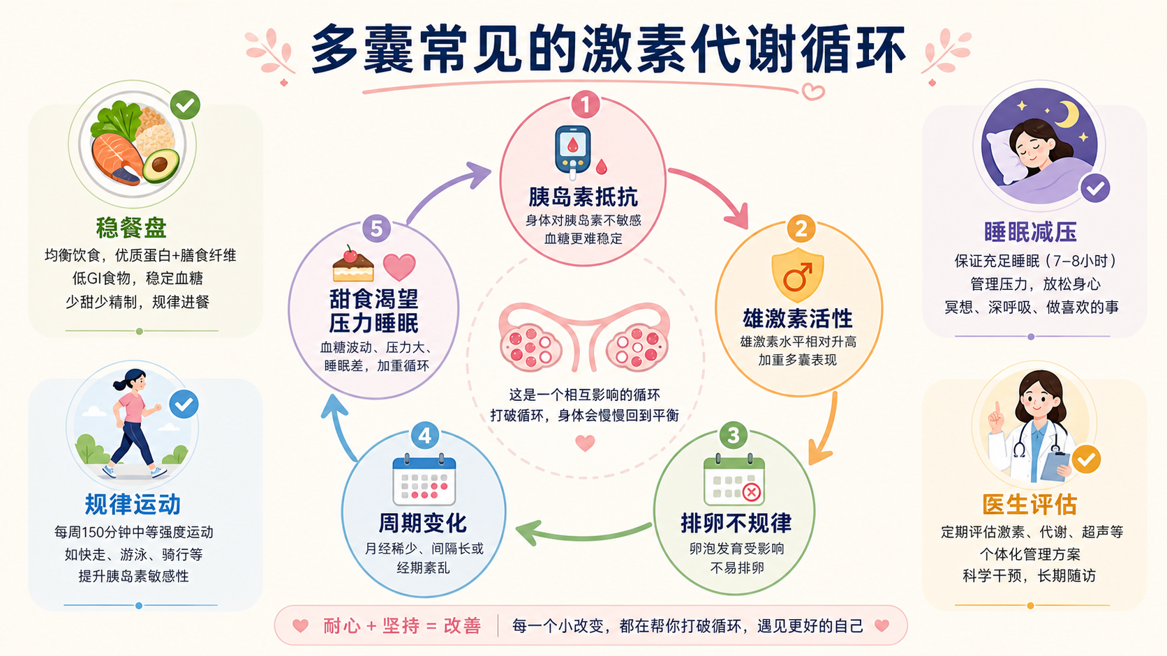 多囊激素代谢循环知识图谱