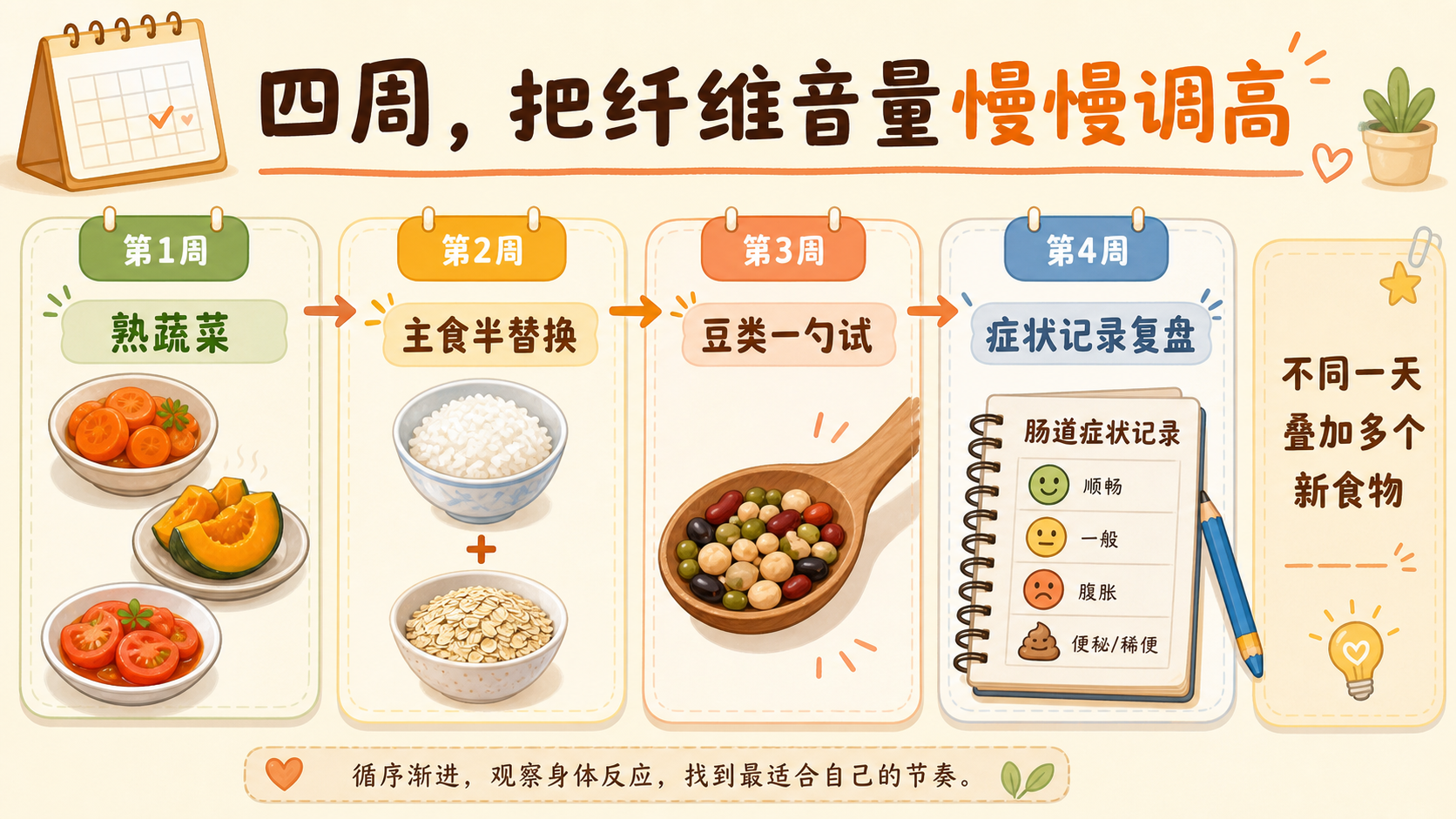 四周纤维和豆类递增阶梯图