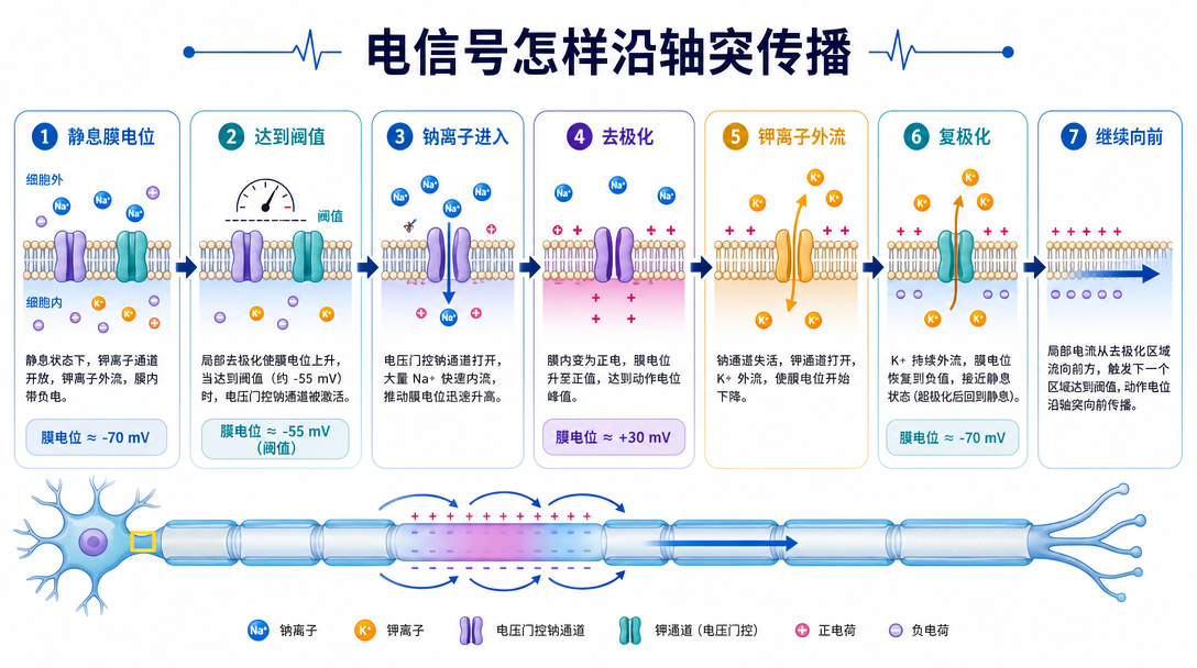 信号传递图
