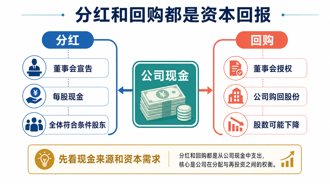 资本回报总览图